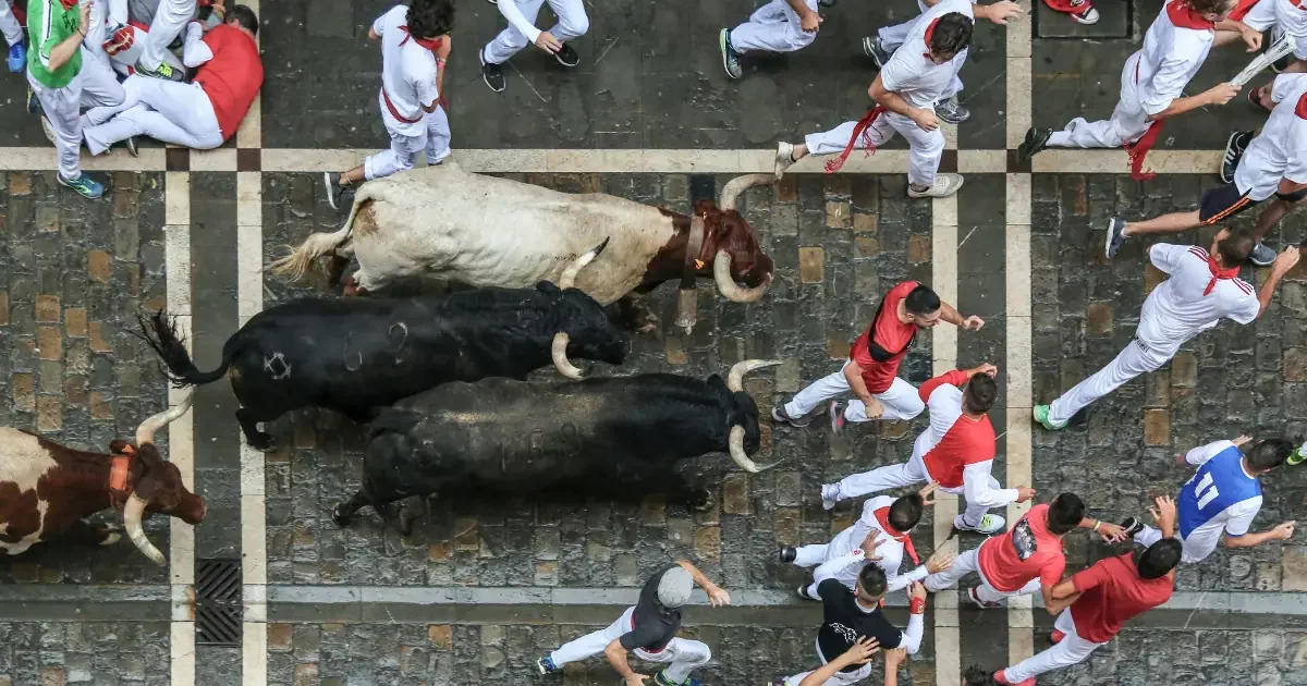 Les taureaux n'aiment-ils vraiment pas le rouge ?