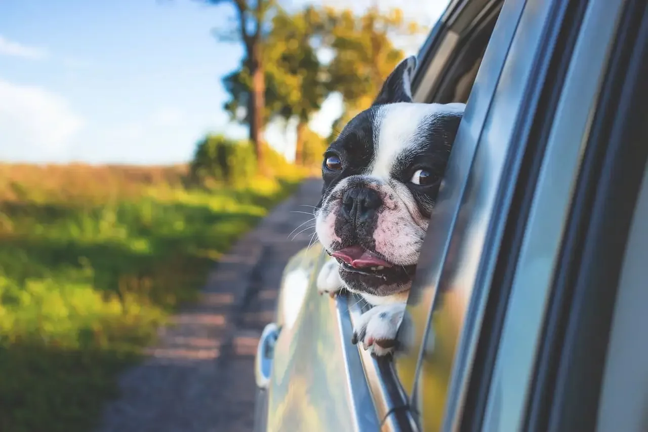 Comment improviser un road-trip réussi sur un coup de tête