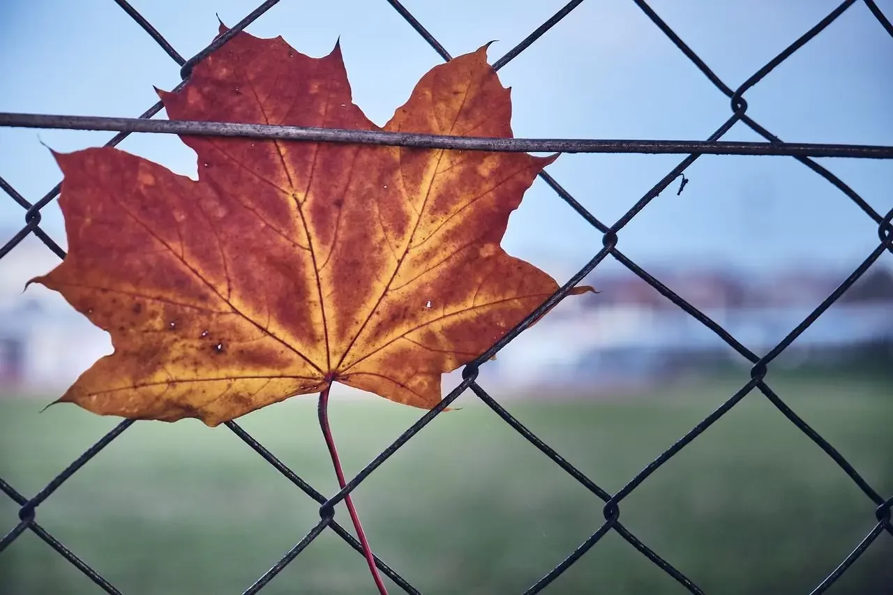 Expérimenter le lâcher-prise lors d’un séjour en pleine nature