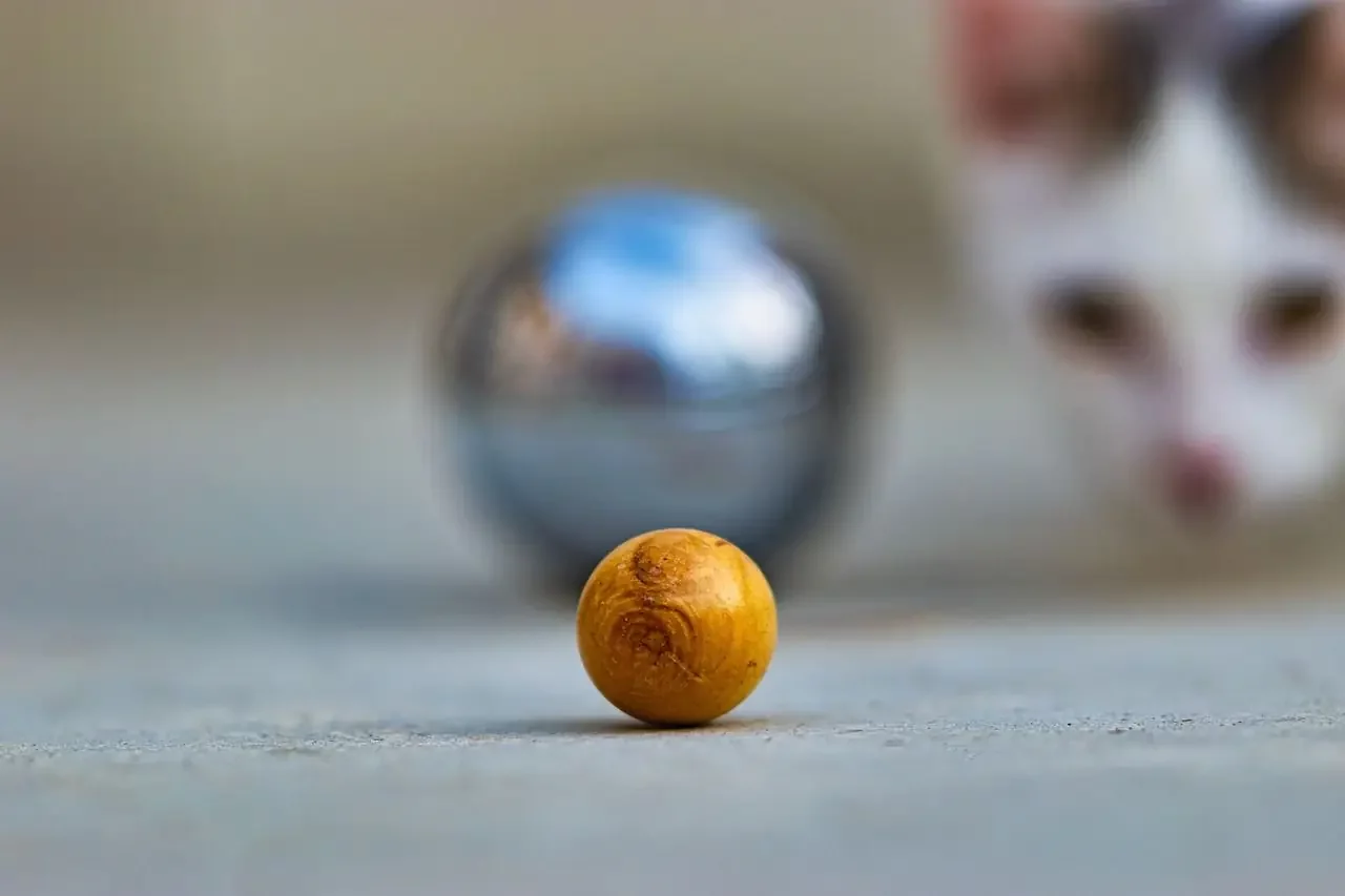 La pétanque, un sport plus technique qu’il n’y paraît