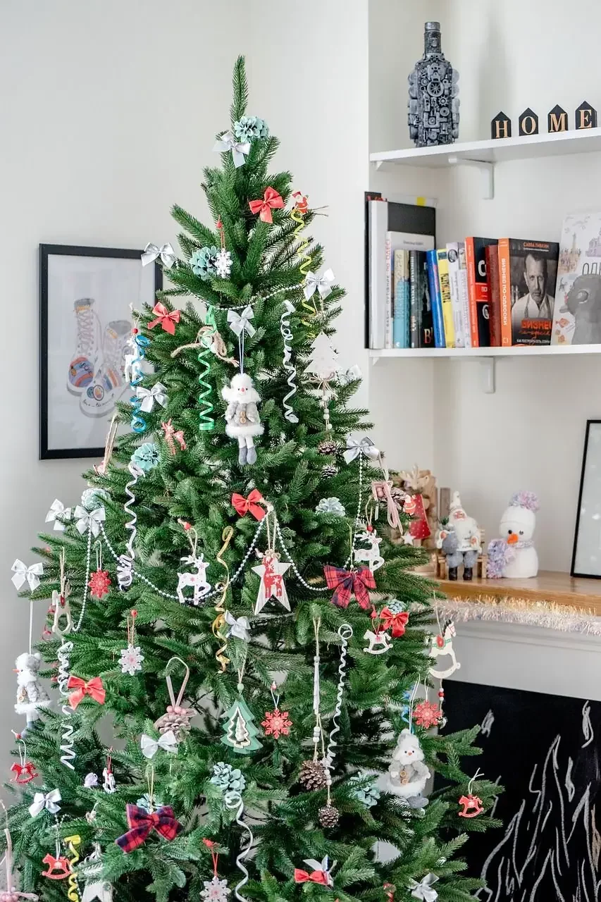 Faire son sapin de Noël zéro déchet